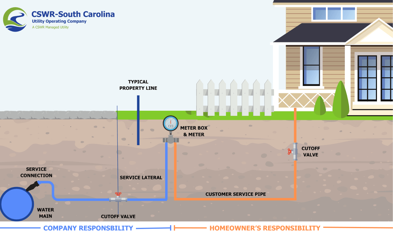 CSWR-South Carolina Graphic